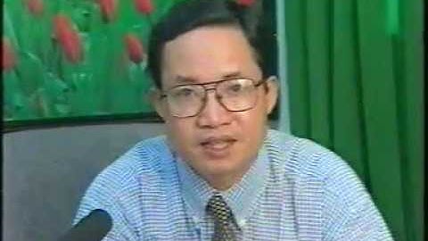 Cứu hộ rùa biển Côn Đảo năm 1997