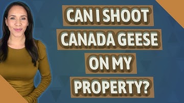 Can I shoot Canada geese on my property?