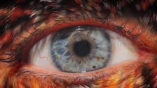 Book Trailer - Blood Rage by Katrina Haney 01