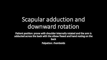 Scapular Adduction and Downward Rotation MMT