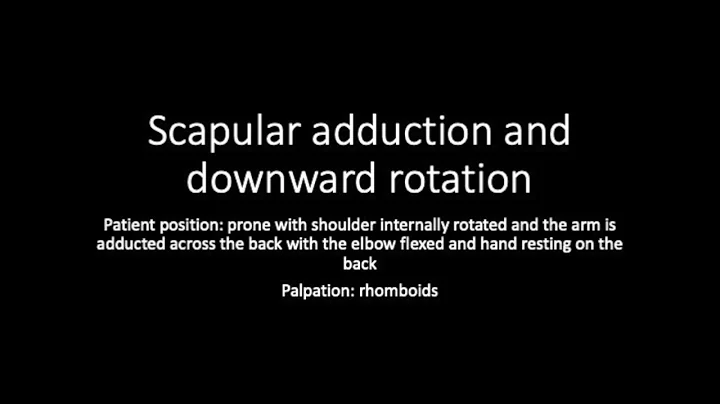 Scapular Adduction and Downward Rotation MMT