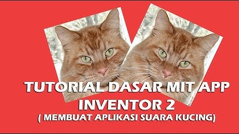 Tutorial Dasar MIT APP Inventor 2 ( Aplikasi Suara Kucing )