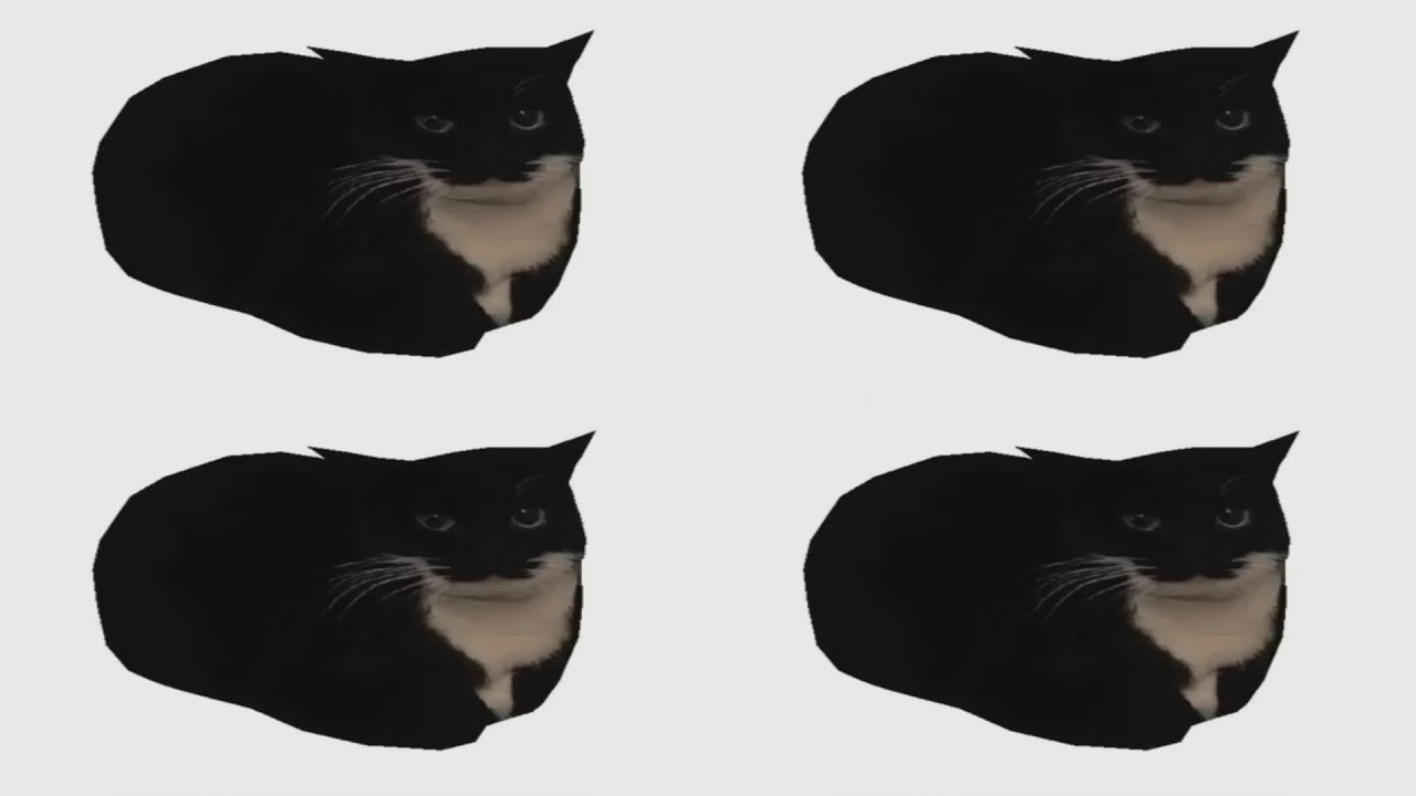 Maxwell cat картинка