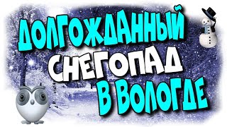 😄Долгожданный ❄️снегопад в Вологде/Long-awaited ❄️snowfall in Vologda♻️ [Olga Pak]