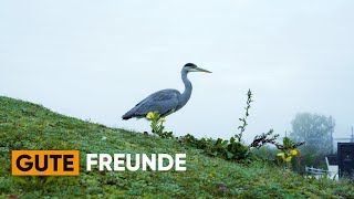 Soft lure fishing in the fog. Do herons like bass? screenshot 1