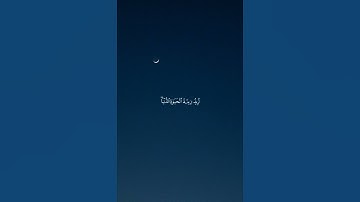 استمع للقرآن تلاوة فارس عباد #مصحف