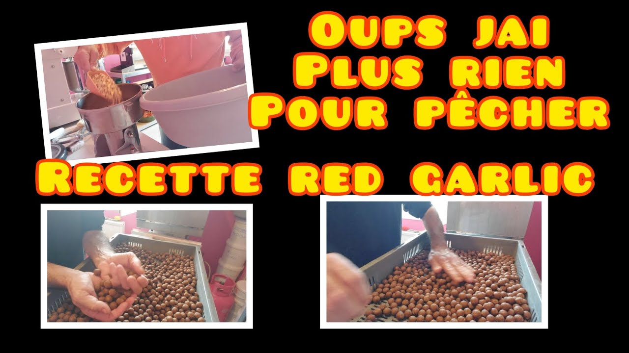 Oups j'ai plus rien pour pecher 😱 recette red garlic ( pêche de la carpe)