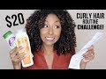 $20 Curly Hair Routine Challenge! Drugstore Wash N Go! | BiancaReneeToday