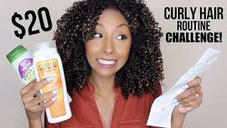 $20 Curly Hair Routine Challenge! Drugstore Wash N Go! | BiancaReneeToday