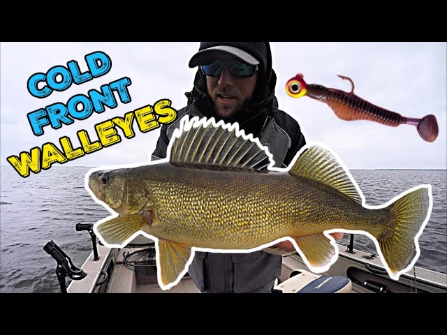 GRINDING On Green Bay for COLD FRONT Walleyes! 