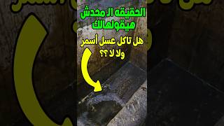 🔥 كارثة العسل الأسود فى الصعيد   الحقيقة اللى محدش قالها!