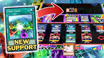 Link Spam are BACK 🚫 Combos CODE TALKER - Post Alliance Insight (NEW SUPPORT)