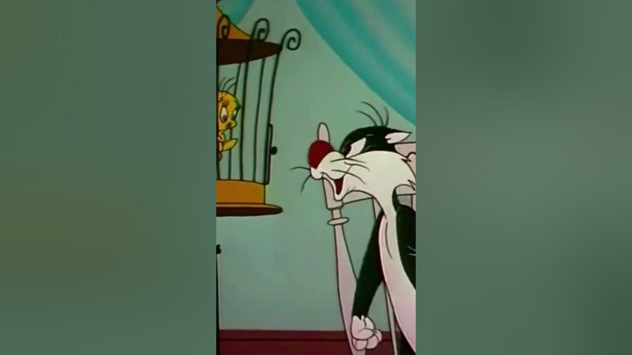 I TAWT I TAW A PUDDY TAT 31 - Tweety and Silvester