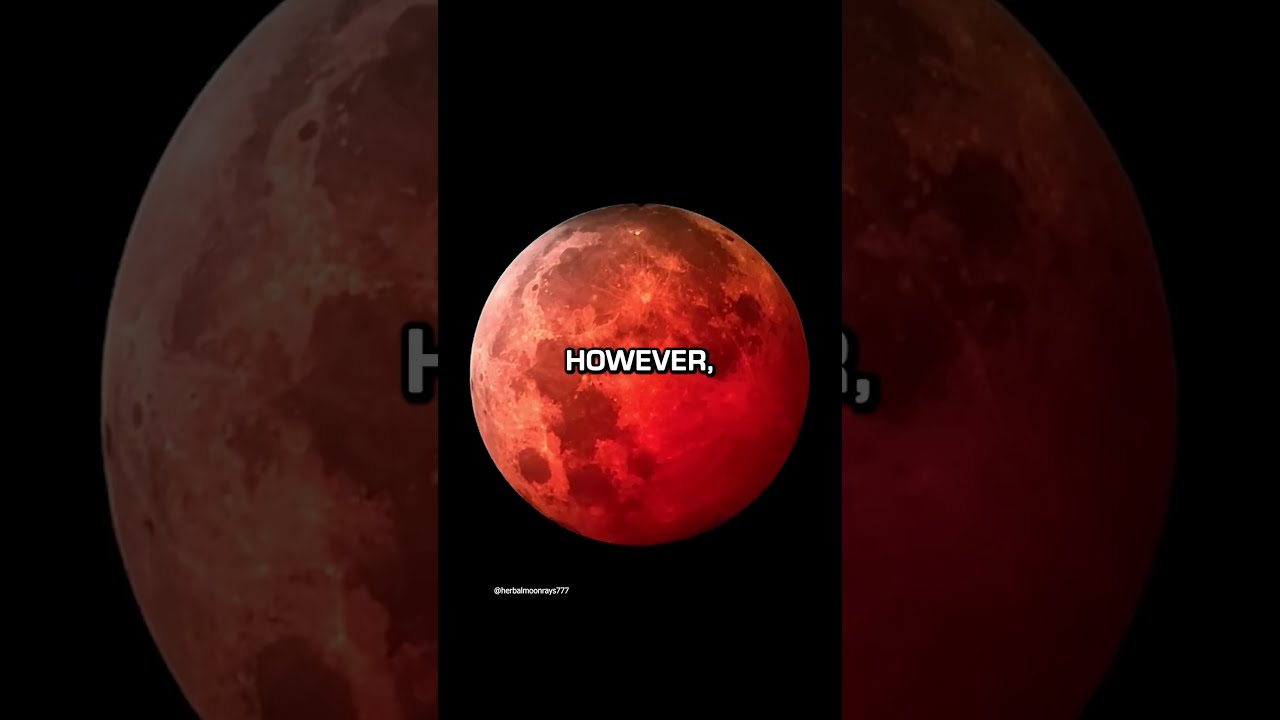 The Blood Moon Has Made People Lose It 