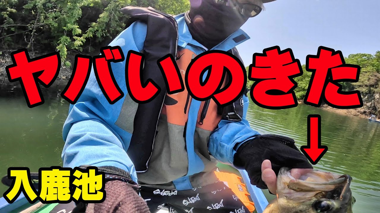 初フットエレキで入鹿池に挑んだらヤバいのがきた！！！【バス釣り】【シャーベットヘアーチャンネル】【ミンコタエッジ45】