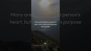 Proverbs 19:21 - His Purpose Prevails | Daily Scripture