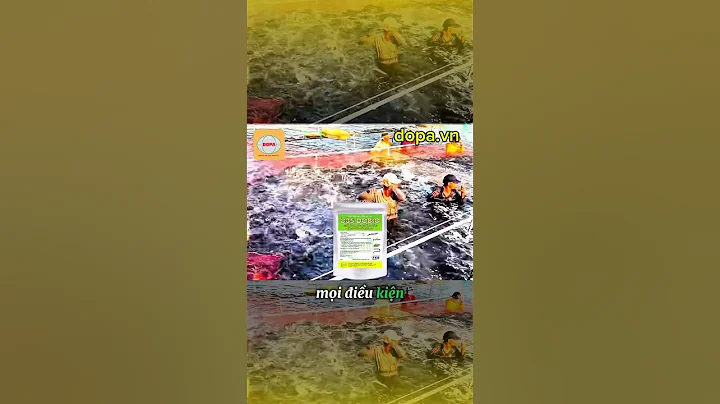 Tầm quan trọng của vitamin C đối với chăn nuôi thuỷ sản #dongdopa #fishing #thuysandopa #dopa