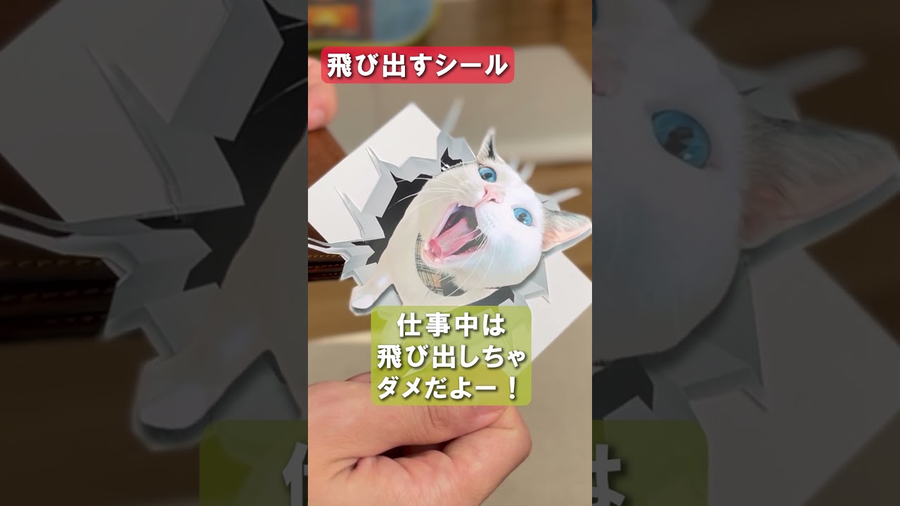 【重大発表】つくね&ひまりがファミマプリントとコラボします！