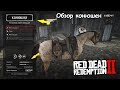 Где купить ДОРОГУЮ лошадь в RDR 2: Обзор всех конюшен в Red Dead Redemption 2