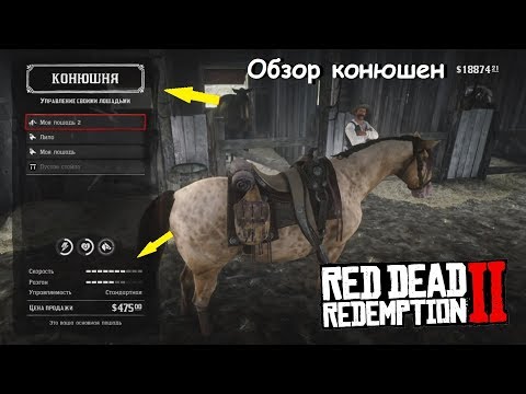 Видео: Где купить ДОРОГУЮ лошадь в RDR 2: Обзор всех конюшен в Red Dead Redemption 2