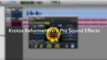 Tutorial: Using the Pro Sound Effects Animals Bundle in Reformer Pro