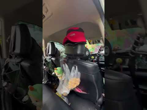 Khám phá Việt Nam, cùng tôi du lịch, travel with me.