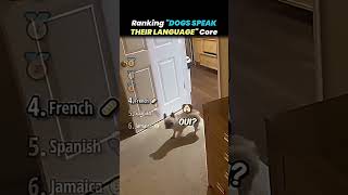 Crazy moment where dogs are understanding there language !! 😚 #crazy #funny #core #dog