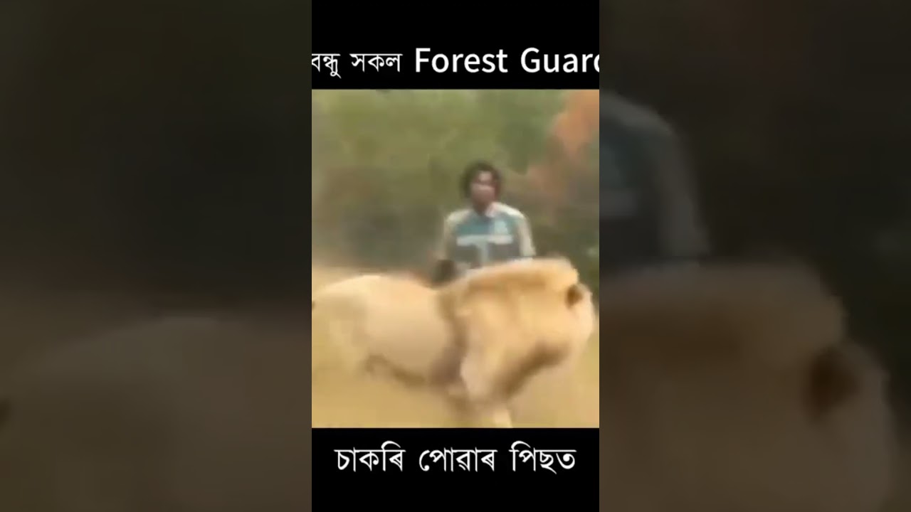 Assam Police Forest Guard. Assam Police Assam Commando assam