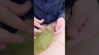 Fine motor activity