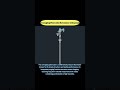 Annubar flowmeter with purge device带吹扫装置的均速管流量计