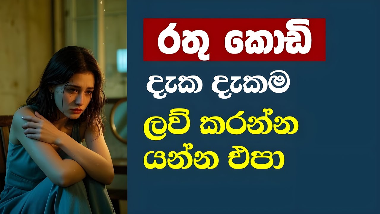 🚩 රතු කොඩි දැක දැක ලව් කරන්න යන්න එපා -  Don’t Fall in Love When You See Red Flags!