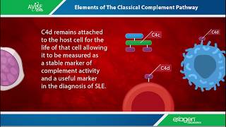 Lupus Biomarkers - CB-CAPs