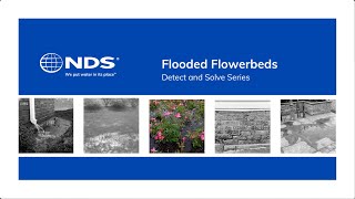 How to Prevent Flooding in Flowerbeds