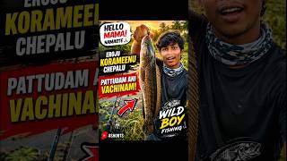 😱 Hello Mama! Eroju Korameenu Chepalu Pattadaniki Vachinam 🎣 | Wild Boy Fishing #Shorts