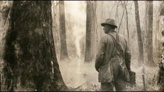 The Most Cursed and Godforsaken Hollows in All of Appalachia