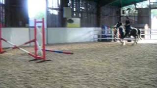 Minstrel At Sam York Clinic