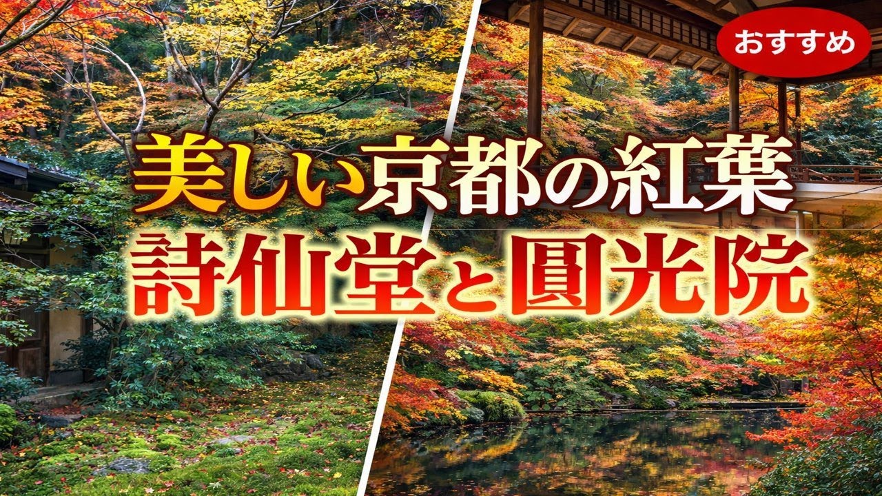 京都 洛北の静寂蓮華寺と圓光寺｜苔庭と紅葉に心を委ねるひととき