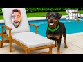 FRANKLIN CAMUFLE OLDU CHOPU TAKIP ETTI - GTA 5 MODS