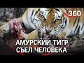 Амурский тигр съел человека в Хабаровском крае. Людоеда пристрелили