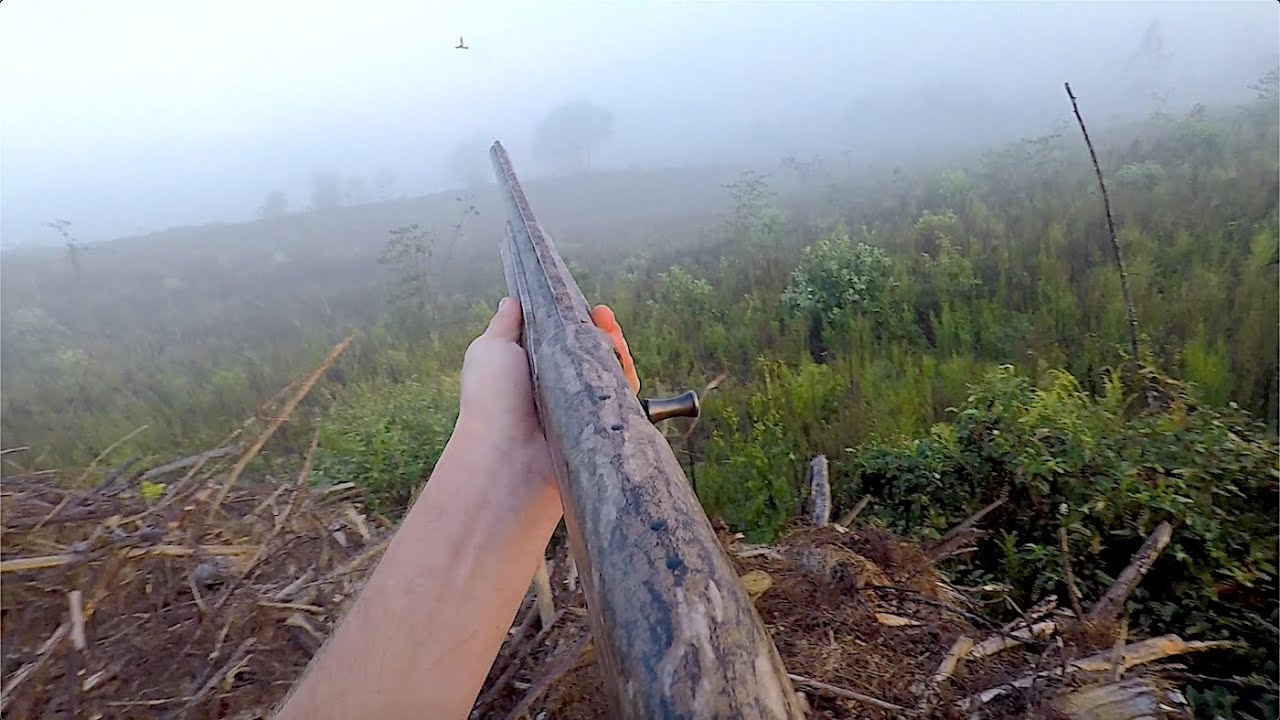 Dove Hunting 2019 - Sucking Into The Mojo