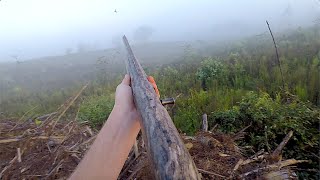 Dove Hunting 2019 - Ing Into The Mojo