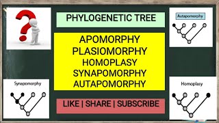 Apomorphy, Plasiomorphy, Homoplasy, Synapomorphy, Autapomorphy || Phylogenetic tree