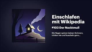 Einschlafen mit Wikipedia #103 Der Nacktmull