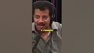 Hidden Universe In Water 🦠: Leeuwenhoek w/Neil Degrasse Tyson