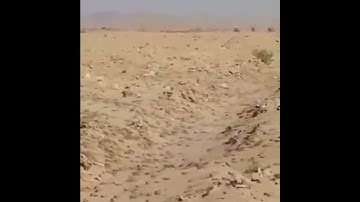 آيات من سورة القمر للقارىء ياسر الدوسري