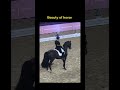 beauty of horse #viral