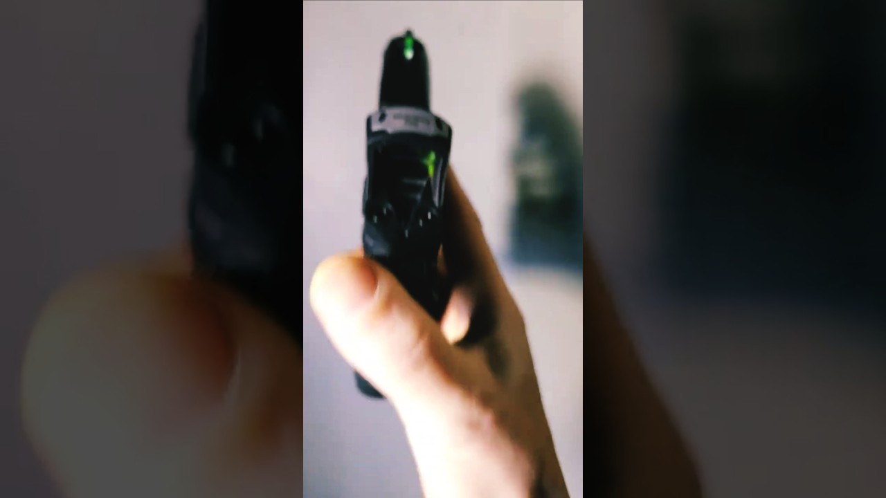 ruger max 9 edc with sig dot 