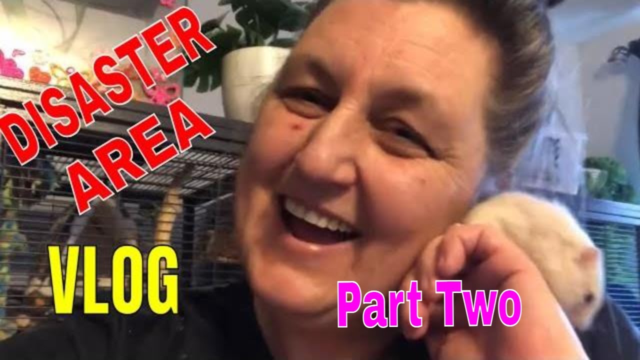 Life with Chipmunks - DISASTER AREA days 2-5, Vlog