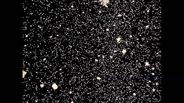 First Growth Phase of Planet Formation