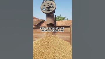 Đường thô và đường trắng | P1